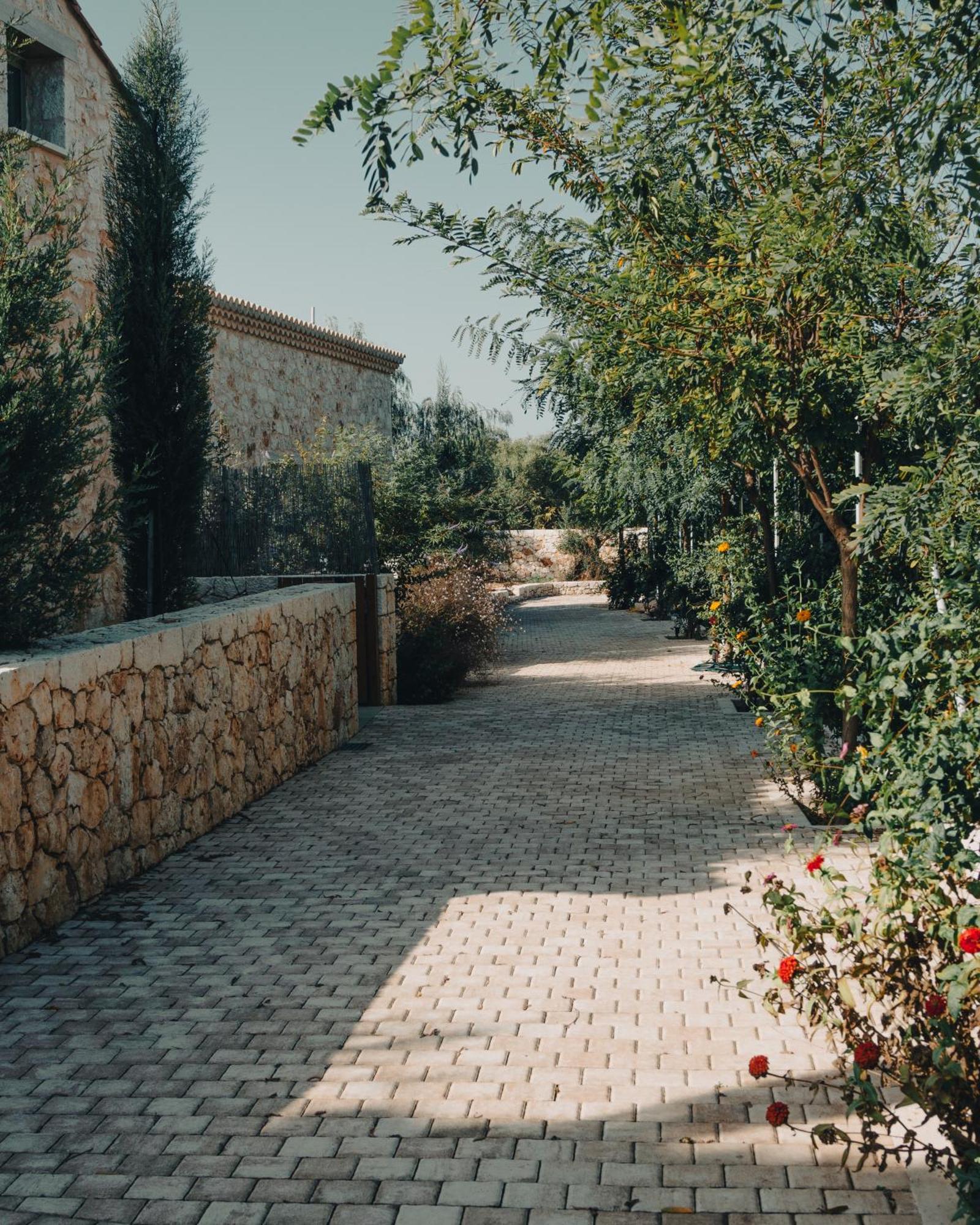 Papadria Villas - Modern Luxury Villas Near Kathisma Beach Tsoukaládhes Buitenkant foto